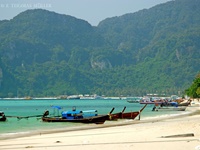 Ko Phi Phi (Ko, Thai เกาะ = Insel) ist eine Inselgruppe (Muh Ko Phi Phi – หมู่เกาะพีพี) in der Andamanensee vor der Westküste von Süd-Thailand – bestehend aus der Hauptinsel Ko Phi Phi Don (เกาะพีพีดอน) und der kleineren Nebeninsel Ko Phi Phi Leh (เกาะพีพีเล).